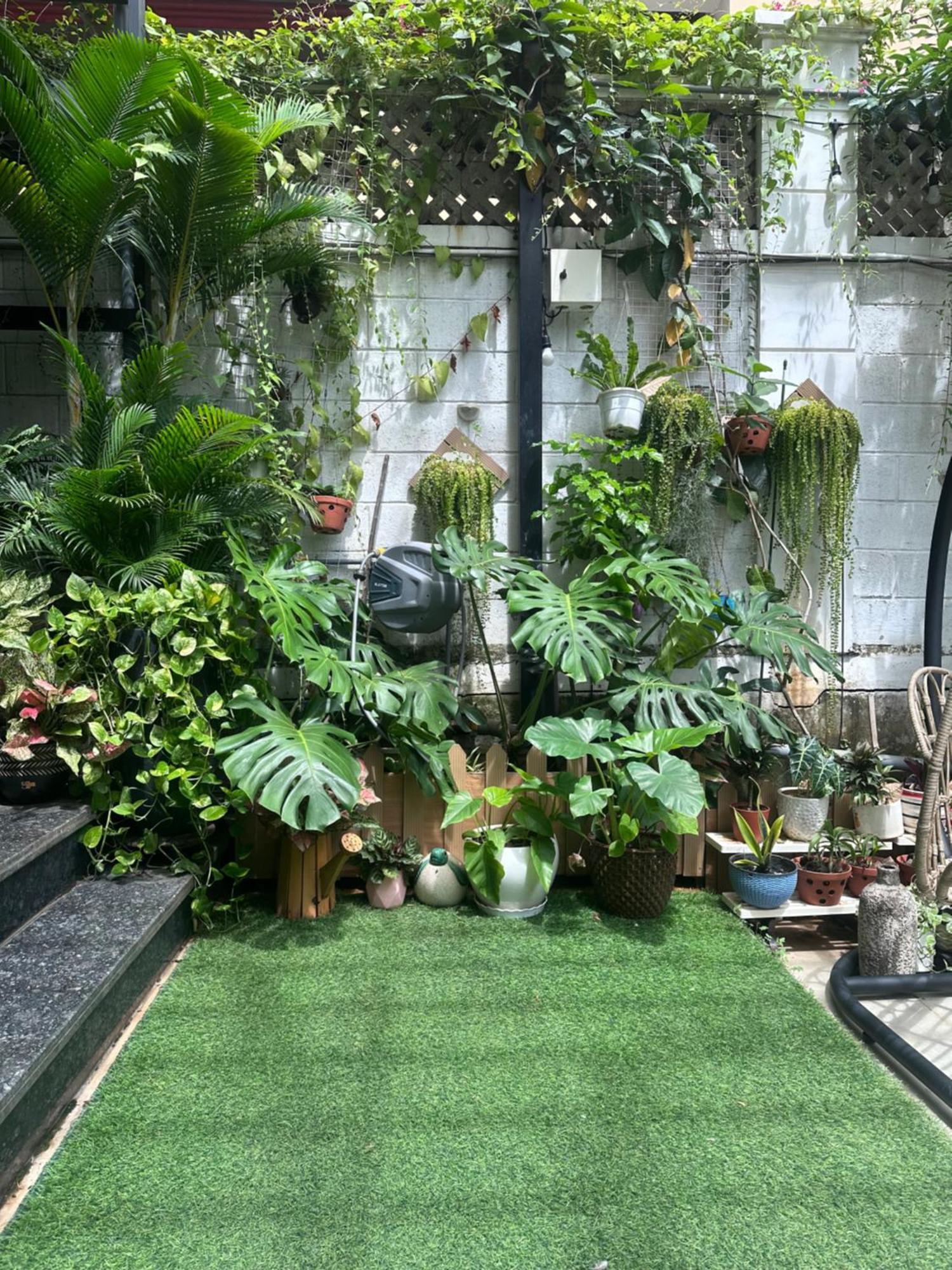 Homey Apartment Ho Chi Minh-Byen Eksteriør billede